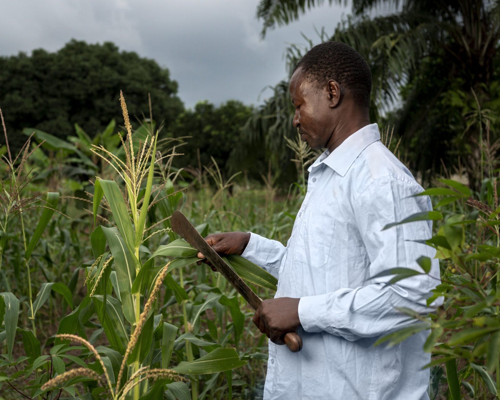 From Farm to Table: Understanding the Journey of Your Food